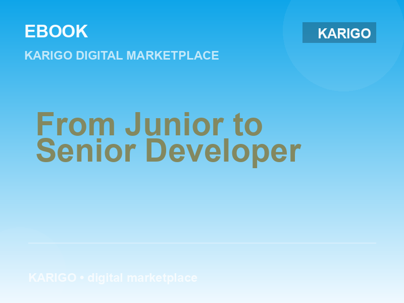 From Junior to Senior Developer