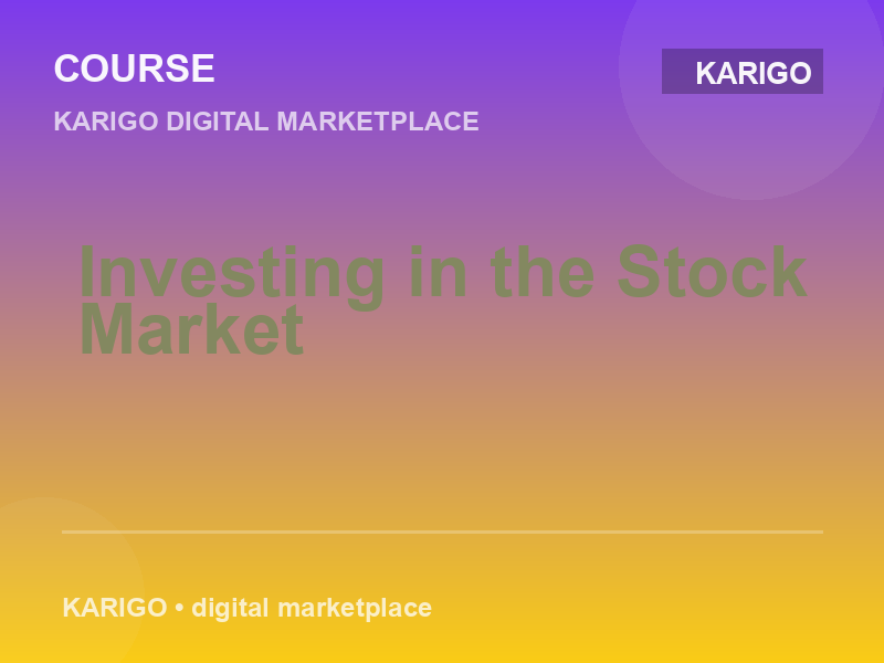 Investing in the Stock Market